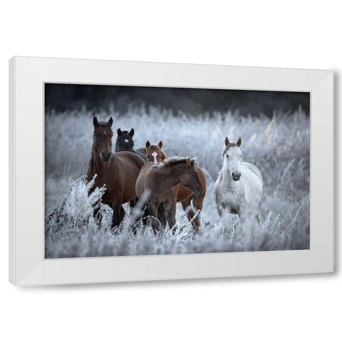 One Frosty Morning.. White Modern Wood Framed Art Print by Sokolovsky, Vlad