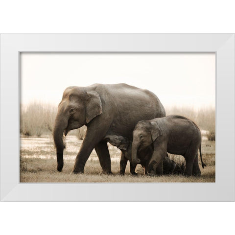 Family Portrait White Modern Wood Framed Art Print by Swapnil