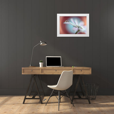 Summer Dream White Modern Wood Framed Art Print by Westum, Heidi