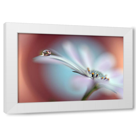 Summer Dream White Modern Wood Framed Art Print by Westum, Heidi