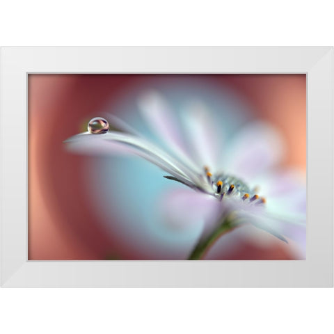 Summer Dream White Modern Wood Framed Art Print by Westum, Heidi