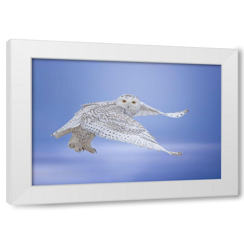 See Me White Modern Wood Framed Art Print by Huang, Tao