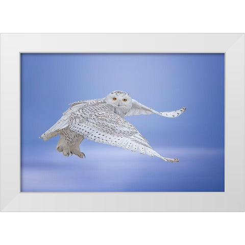 See Me White Modern Wood Framed Art Print by Huang, Tao