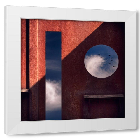 Bird Watching Station White Modern Wood Framed Art Print by Apers, Marc