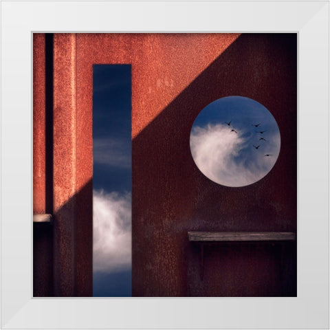 Bird Watching Station White Modern Wood Framed Art Print by Apers, Marc
