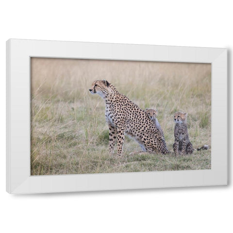 I Love My Mum White Modern Wood Framed Art Print by Doyle, Renee
