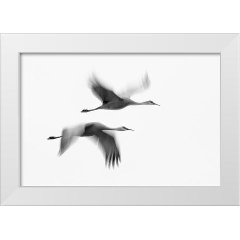 Dream Couple White Modern Wood Framed Art Print by Fan, John