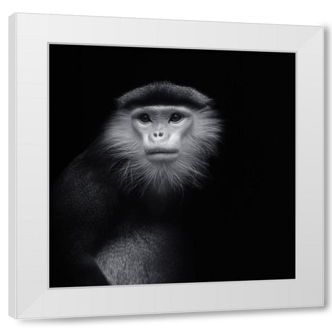 Ape 2 White Modern Wood Framed Art Print by Vollrath, Jorg