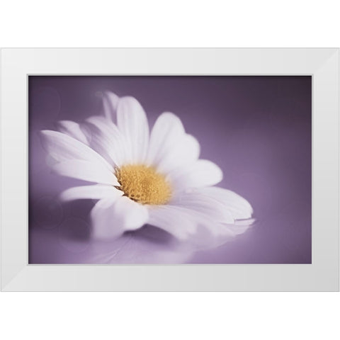 Soft Was The Light White Modern Wood Framed Art Print by Kiral, Cicek