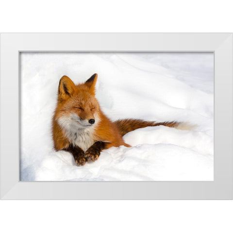 Enjoyment White Modern Wood Framed Art Print by Budkov, Denis