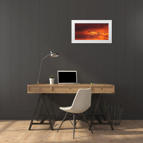 Lord Of The Ring White Modern Wood Framed Art Print by Xiao, Hanping