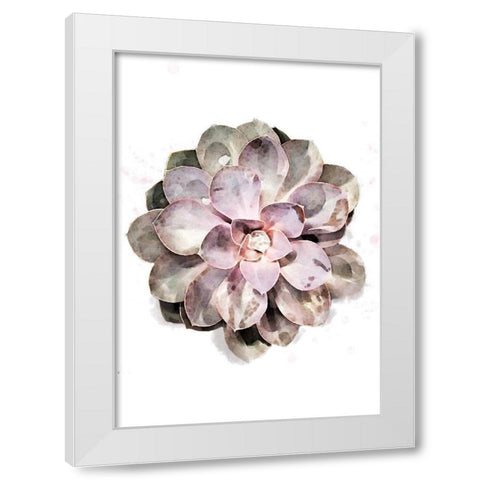 Succulent 01 White Modern Wood Framed Art Print by 1x Studio II