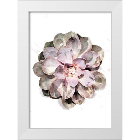 Succulent 01 White Modern Wood Framed Art Print by 1x Studio II
