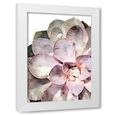 Succulent Close-up White Modern Wood Framed Art Print by 1x Studio II
