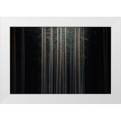 Second Skin White Modern Wood Framed Art Print by De Franzoni, Thomas