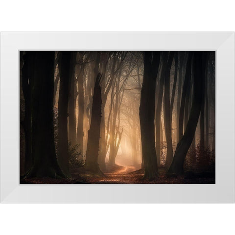 Phantasma White Modern Wood Framed Art Print by Lagerwerf, Jeroen