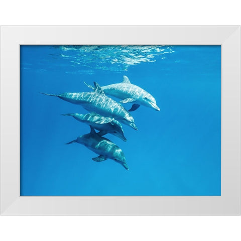 Familly White Modern Wood Framed Art Print by Melesan, Serge