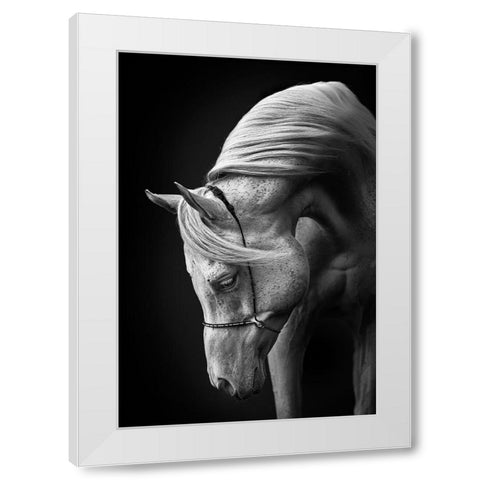 White Stallion White Modern Wood Framed Art Print by Leinemann, Ulrike