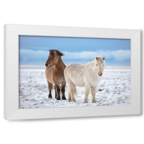 B R O T H E R S White Modern Wood Framed Art Print by Fegari