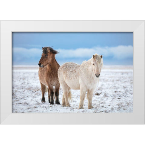 B R O T H E R S White Modern Wood Framed Art Print by Fegari