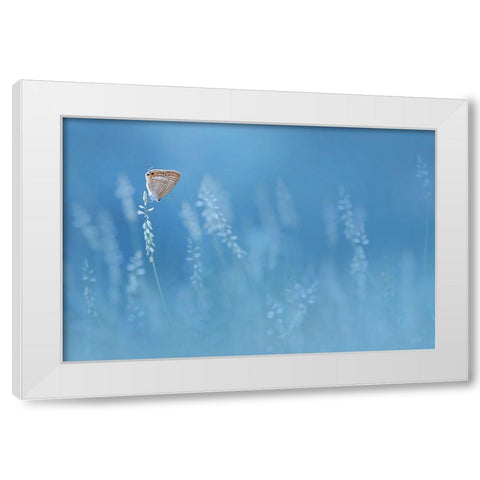 Blues White Modern Wood Framed Art Print by Pamungkas, Edy
