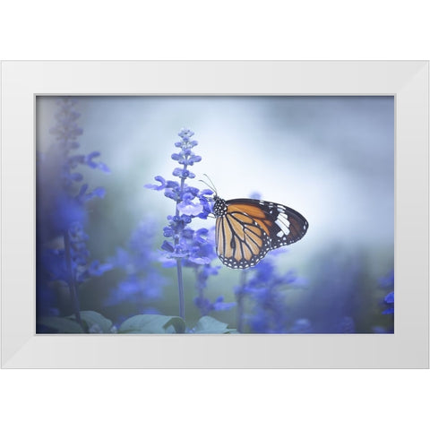 Butterfly White Modern Wood Framed Art Print by Li, Wang