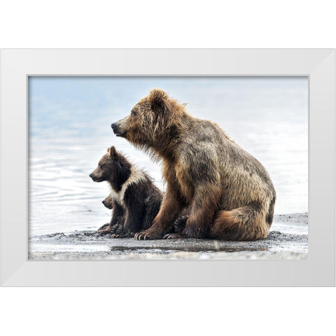 Profiles White Modern Wood Framed Art Print by Damico, Giuseppe