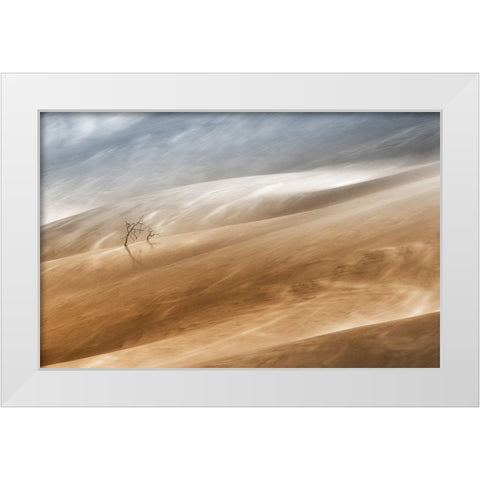 Two Trees White Modern Wood Framed Art Print by Hermann, Uschi
