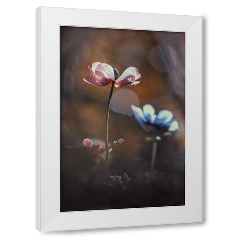 Florilauge White Modern Wood Framed Art Print by Bravin, Fabien