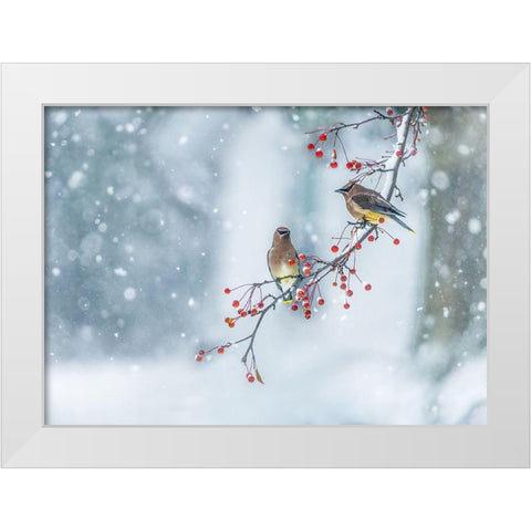 Colors Of Winter White Modern Wood Framed Art Print by Chen, Hong