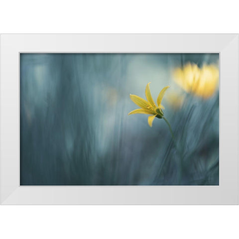 Spring Vaudeville... White Modern Wood Framed Art Print by Kopcev, Igor