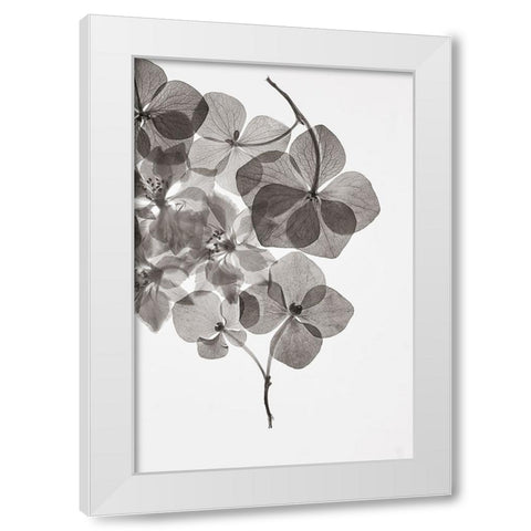 Botanical 24 White Modern Wood Framed Art Print by Lenka
