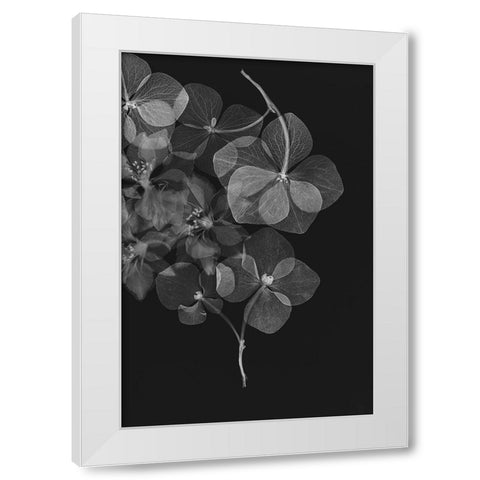 Botanical 25 White Modern Wood Framed Art Print by Lenka
