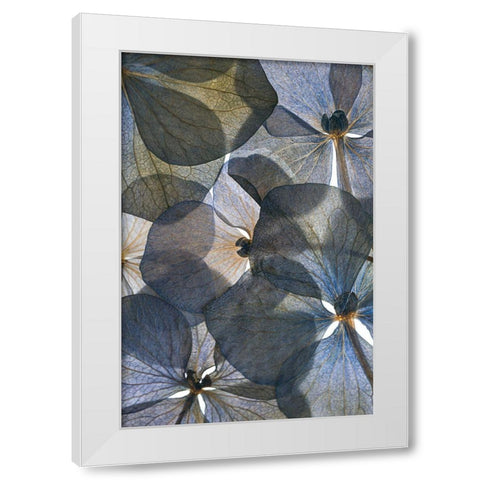 Botanical #26 White Modern Wood Framed Art Print by Lenka