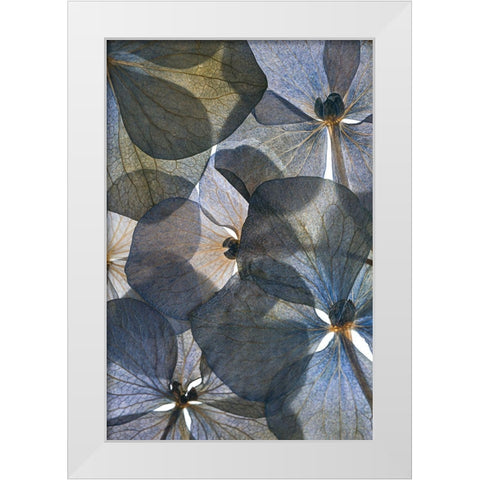 Botanical #26 White Modern Wood Framed Art Print by Lenka