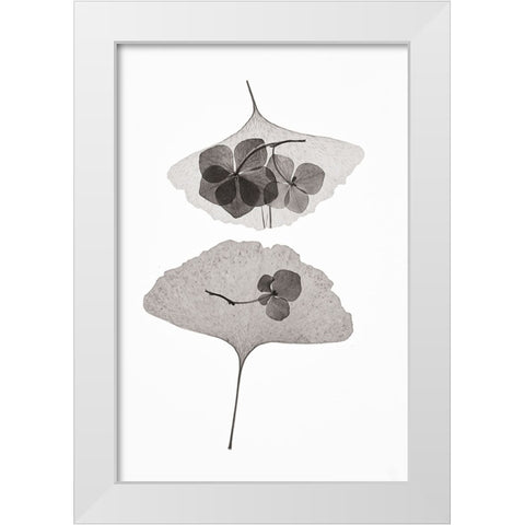 Botanical 35 White Modern Wood Framed Art Print by Lenka