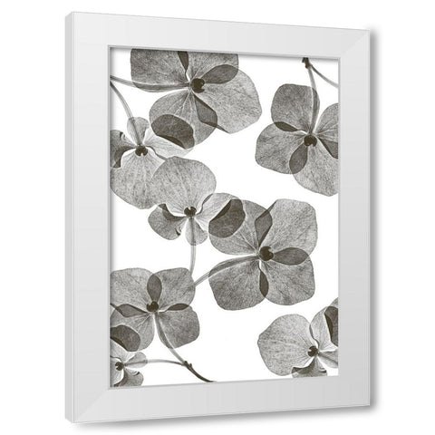 Botanical 39 White Modern Wood Framed Art Print by Lenka