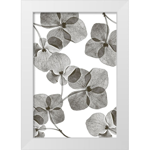 Botanical 39 White Modern Wood Framed Art Print by Lenka