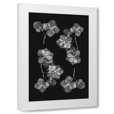 Botanical 46 White Modern Wood Framed Art Print by Lenka