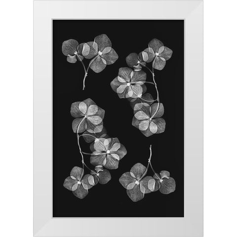 Botanical 46 White Modern Wood Framed Art Print by Lenka