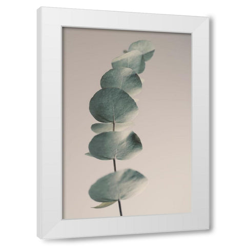 Fragrant Leaves Ll White Modern Wood Framed Art Print by Westum, Heidi