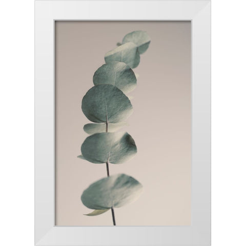 Fragrant Leaves Ll White Modern Wood Framed Art Print by Westum, Heidi