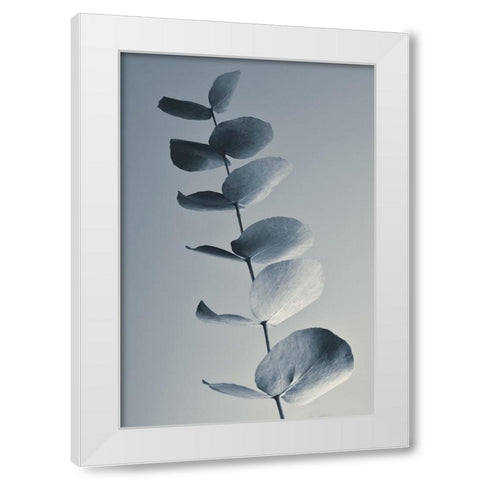 Fragrant Leaves White Modern Wood Framed Art Print by Westum, Heidi