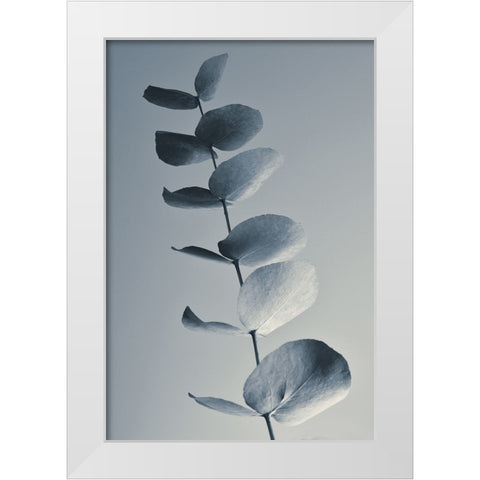 Fragrant Leaves White Modern Wood Framed Art Print by Westum, Heidi