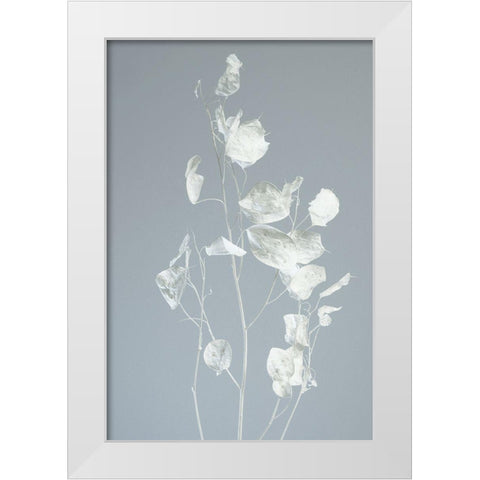 Tired White Modern Wood Framed Art Print by Westum, Heidi