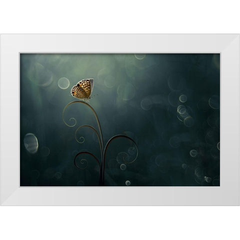 Butterfly In The Morning With Bokeh White Modern Wood Framed Art Print by Pamungkas, Edy