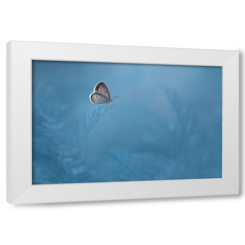 Waiting White Modern Wood Framed Art Print by Pamungkas, Edy