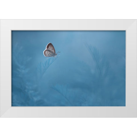Waiting White Modern Wood Framed Art Print by Pamungkas, Edy