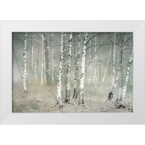 Morning Silence White Modern Wood Framed Art Print by Talen, Nel