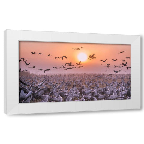 Cranes At Sunrise White Modern Wood Framed Art Print by Or, Keren